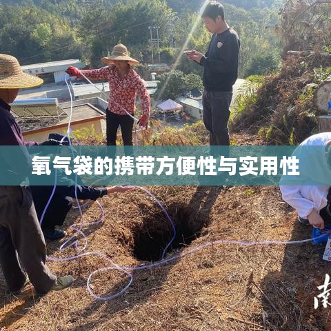 氧氣袋便攜實用，應(yīng)急醫(yī)療好幫手