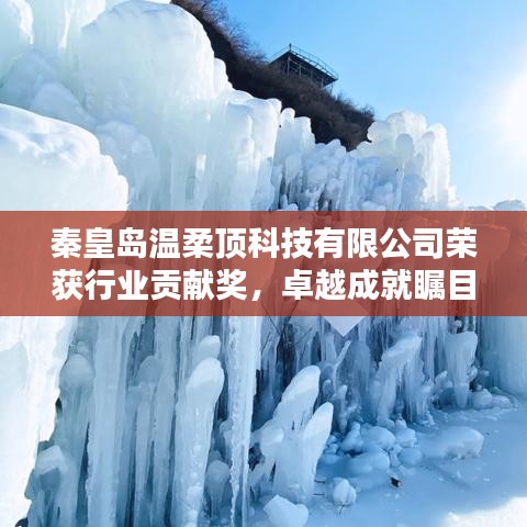 秦皇島溫柔頂科技榮獲行業(yè)貢獻(xiàn)獎(jiǎng)，引領(lǐng)創(chuàng)新風(fēng)潮，卓越成就矚目