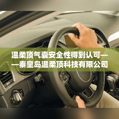 秦皇島溫柔頂科技引領(lǐng)行業(yè)新標(biāo)桿，氣囊安全性備受認(rèn)可