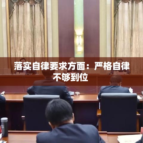 落實(shí)自律要求方面:嚴(yán)格自律不夠到位