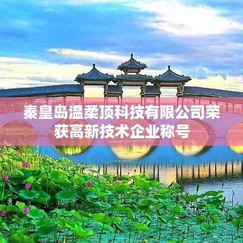 秦皇島溫柔頂科技榮獲高新企業(yè)稱號