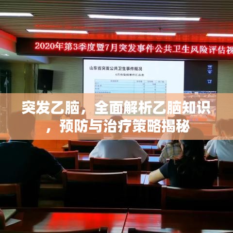 突發(fā)乙腦，全面解析乙腦知識(shí)，預(yù)防與治療策略揭秘