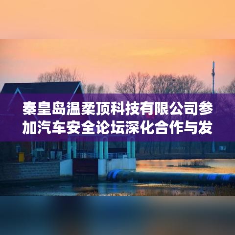 秦皇島溫柔頂科技參加汽車安全論壇，深化合作，共謀發(fā)展