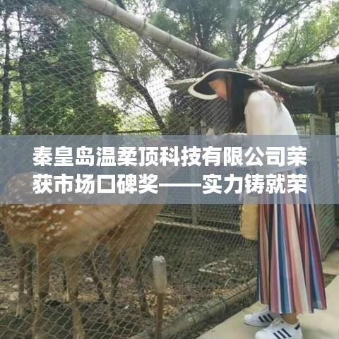 秦皇島溫柔頂科技榮獲市場(chǎng)口碑獎(jiǎng)，實(shí)力創(chuàng)新，引領(lǐng)未來(lái)