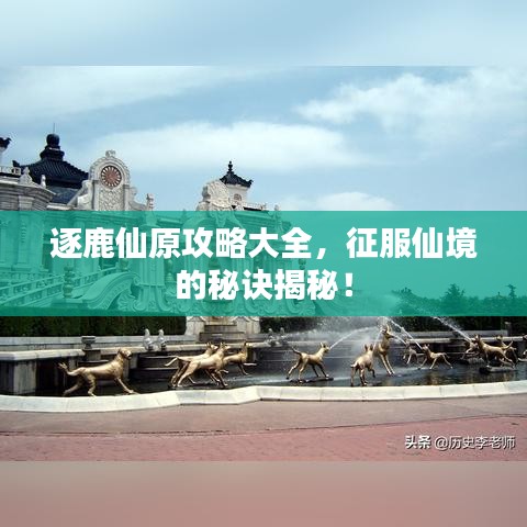 逐鹿仙原攻略大全，征服仙境的秘訣揭秘！