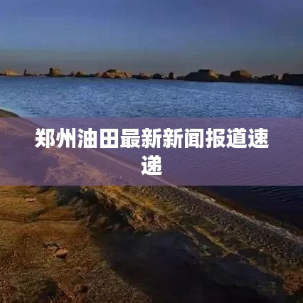 鄭州油田最新新聞報(bào)道速遞