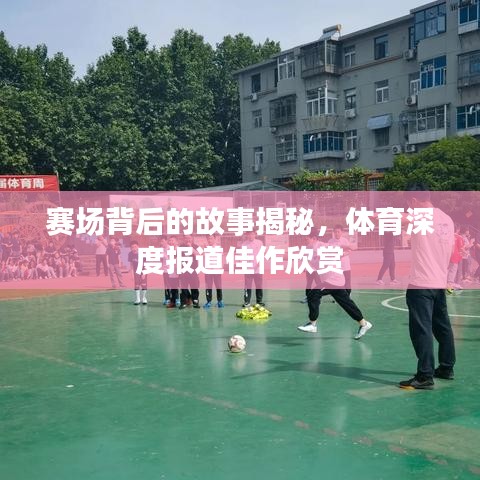 賽場背后的故事揭秘，體育深度報道佳作欣賞