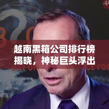 越南黑箱公司排行榜揭曉，神秘巨頭浮出水面