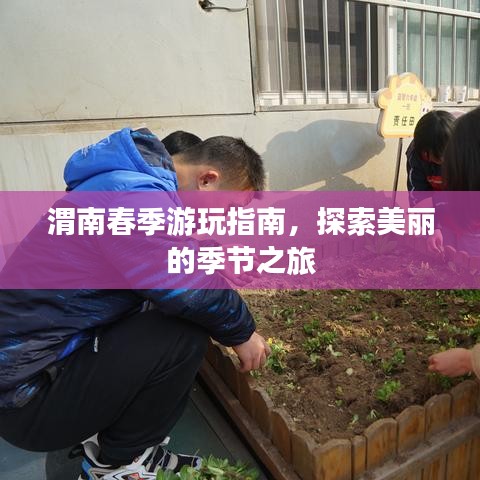 渭南春季游玩指南，探索美麗的季節(jié)之旅