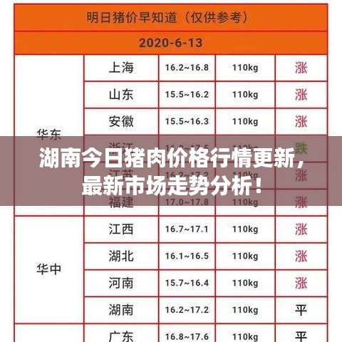 湖南今日豬肉價格行情更新，最新市場走勢分析！