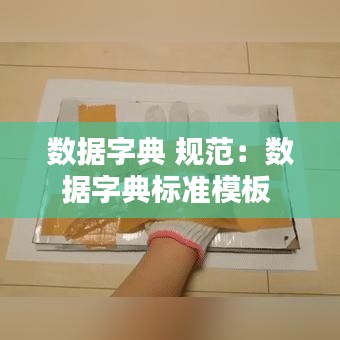 數(shù)據(jù)字典 規(guī)范：數(shù)據(jù)字典標準模板 