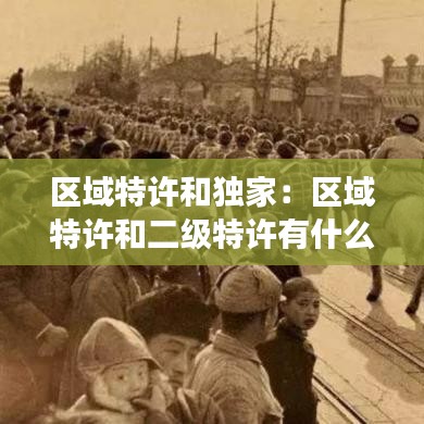 區(qū)域特許和獨(dú)家:區(qū)域特許和二級(jí)特許有什么明顯不同