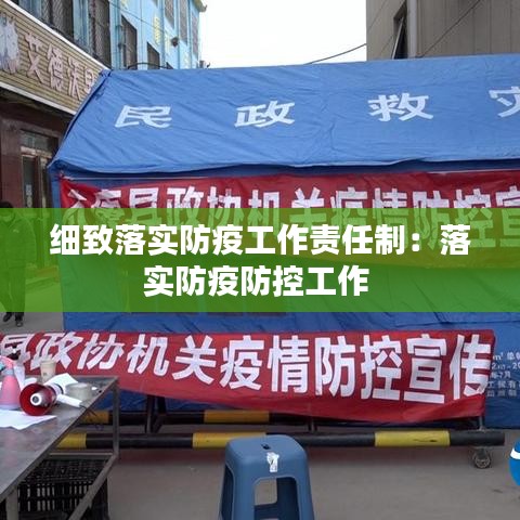 細致落實防疫工作責任制：落實防疫防控工作 