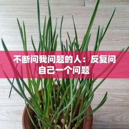 不斷問我問題的人：反復(fù)問自己一個(gè)問題 