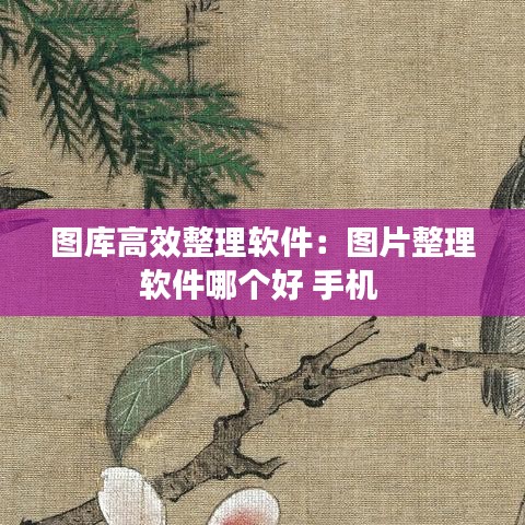圖庫高效整理軟件：圖片整理軟件哪個好 手機 