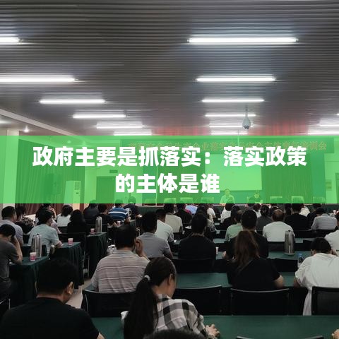 政府主要是抓落實：落實政策的主體是誰 