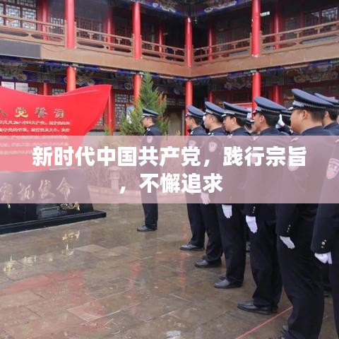 新時(shí)代中國(guó)共產(chǎn)黨，踐行宗旨，不懈追求