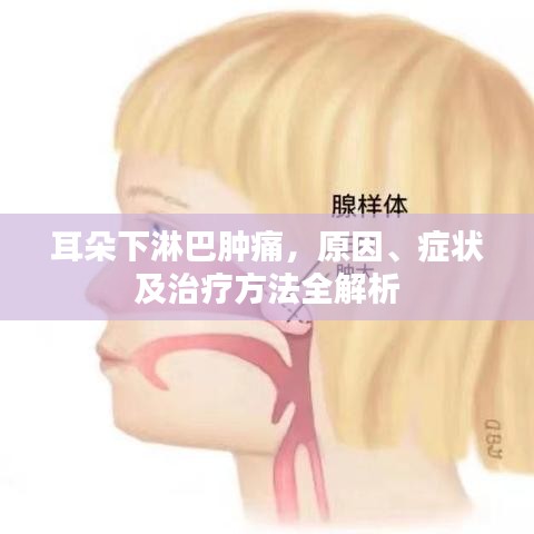耳朵下淋巴腫痛，原因、癥狀及治療方法全解析