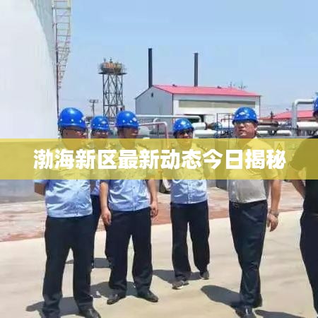 渤海新區(qū)最新動態(tài)今日揭秘