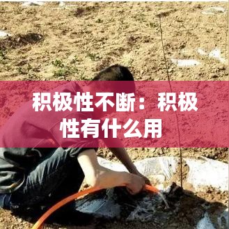 積極性不斷:積極性有什么用