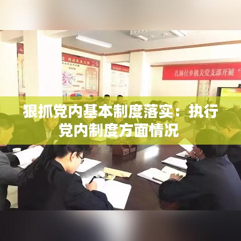 狠抓黨內(nèi)基本制度落實：執(zhí)行黨內(nèi)制度方面情況 