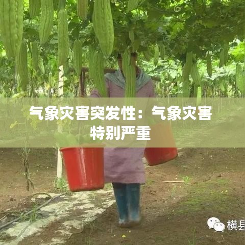 氣象災(zāi)害突發(fā)性：氣象災(zāi)害 特別嚴重 