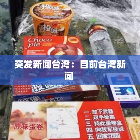 突發(fā)新聞臺灣：目前臺灣新聞 
