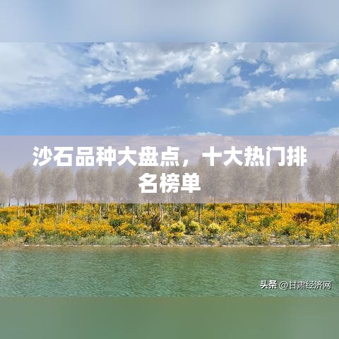 沙石品種大盤點(diǎn)，十大熱門排名榜單