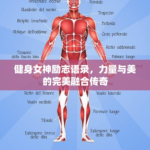健身女神勵志語錄，力量與美的完美融合傳奇