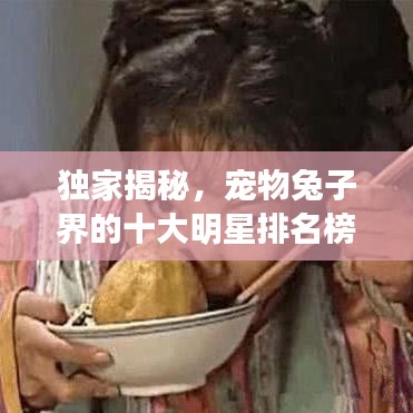獨(dú)家揭秘，寵物兔子界的十大明星排名榜！