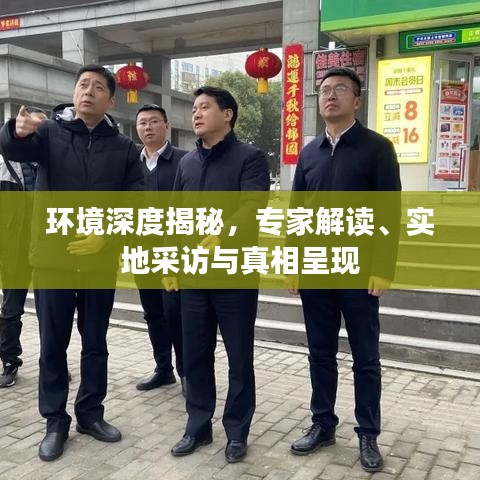 環(huán)境深度揭秘，專家解讀、實地采訪與真相呈現(xiàn)