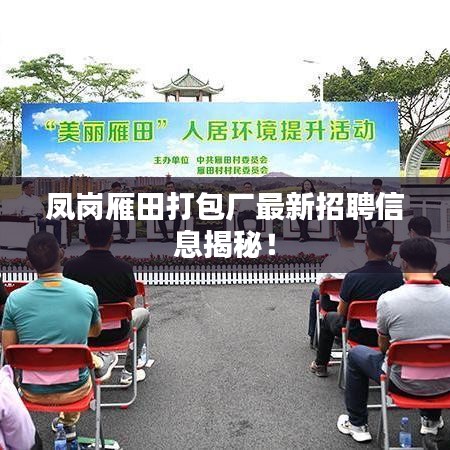 鳳崗雁田打包廠最新招聘信息揭秘！