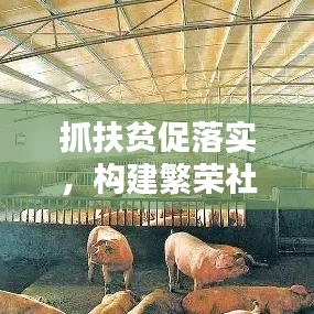 抓扶貧促落實,構建繁榮社會的關鍵所在