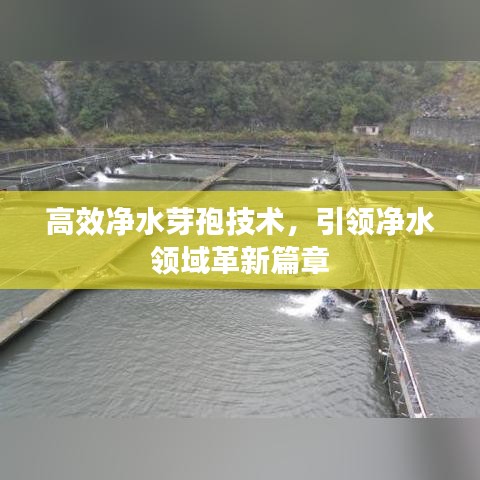 高效凈水芽孢技術，引領凈水領域革新篇章