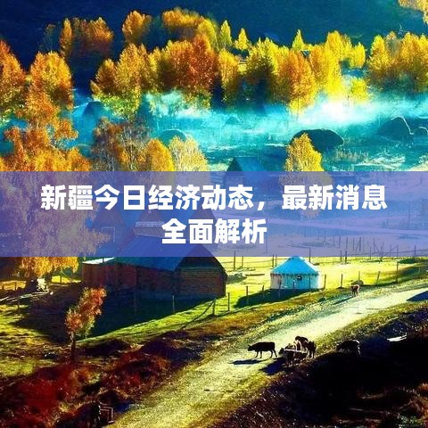 新疆今日經(jīng)濟(jì)動(dòng)態(tài)，最新消息全面解析