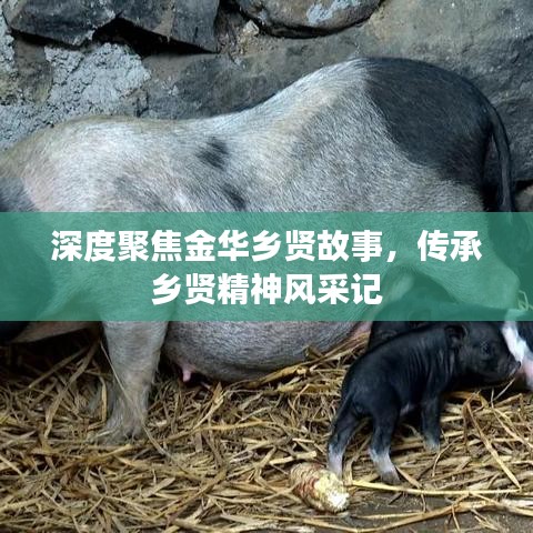 深度聚焦金華鄉(xiāng)賢故事，傳承鄉(xiāng)賢精神風(fēng)采記