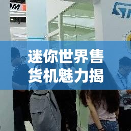 迷你世界售貨機(jī)魅力揭秘，排名與探索微型售貨機(jī)的無(wú)限魅力