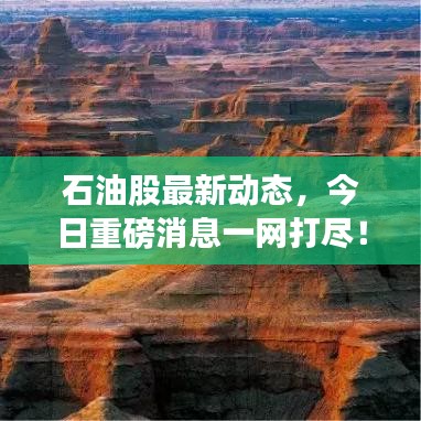 石油股最新動(dòng)態(tài)，今日重磅消息一網(wǎng)打盡！