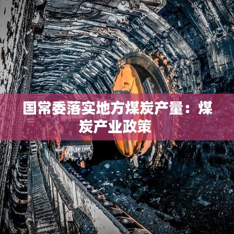 國常委落實地方煤炭產量:煤炭產業政策