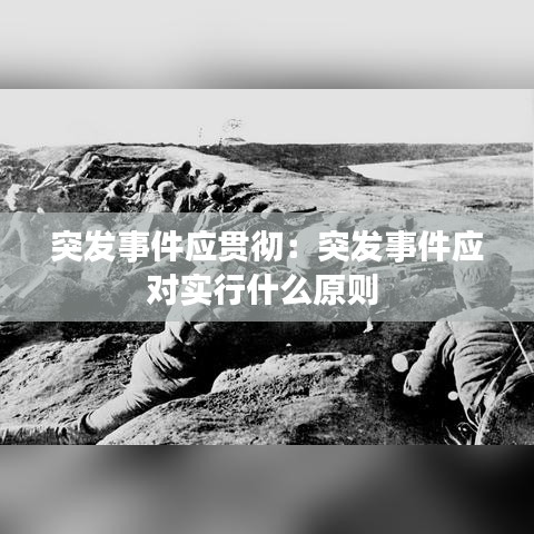 突發(fā)事件應(yīng)貫徹：突發(fā)事件應(yīng)對(duì)實(shí)行什么原則 
