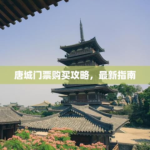唐城門票購買攻略，最新指南