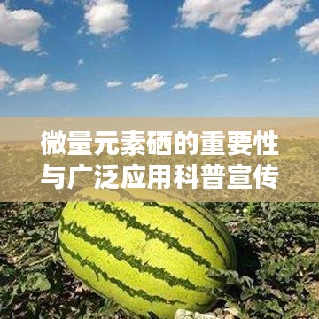 微量元素硒的重要性與廣泛應(yīng)用科普宣傳啟動(dòng)！