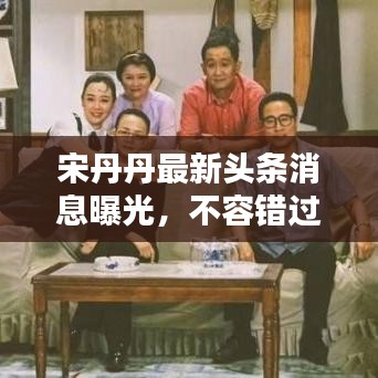 宋丹丹最新頭條消息曝光，不容錯過！