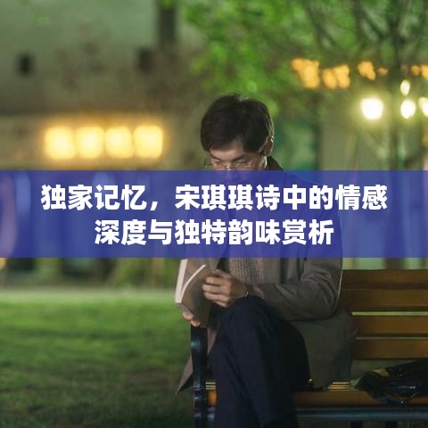 獨家記憶，宋琪琪詩中的情感深度與獨特韻味賞析