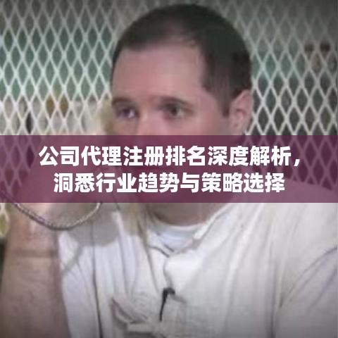公司代理注冊(cè)排名深度解析，洞悉行業(yè)趨勢(shì)與策略選擇