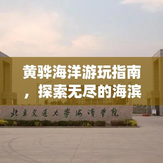 黃驊海洋游玩指南，探索無盡的海濱魅力！