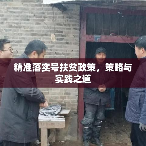 精準落實號扶貧政策，策略與實踐之道