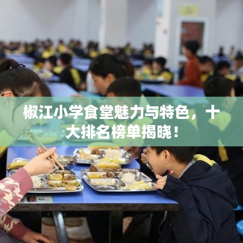 椒江小學(xué)食堂魅力與特色，十大排名榜單揭曉！