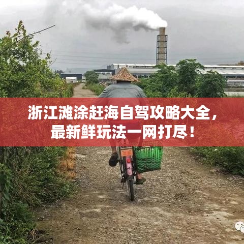 浙江灘涂趕海自駕攻略大全，最新鮮玩法一網(wǎng)打盡！