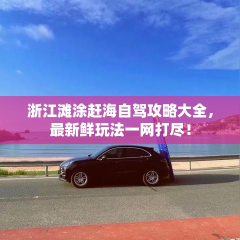 浙江灘涂趕海自駕攻略大全,最新鮮玩法一網(wǎng)打盡!
